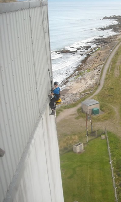 Birdproofing